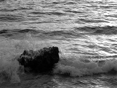 FDotografia Freelance